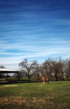 Peaceful place, happy horses
