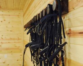 tack room and lounge